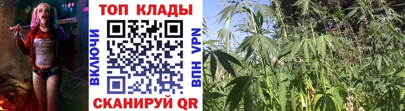 Купить СК  Мефедрон  Амфетамин  Гашиш  Гдов