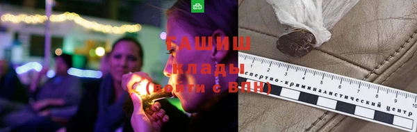 PSILOCYBIN Козельск