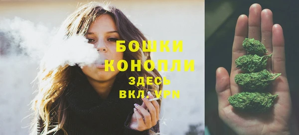 PSILOCYBIN Козельск