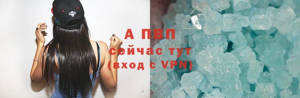 PSILOCYBIN Козельск