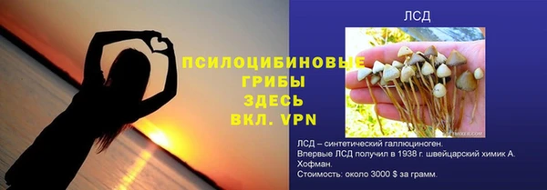дурь Козловка