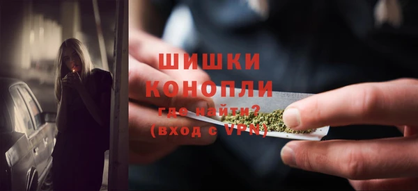 PSILOCYBIN Козельск