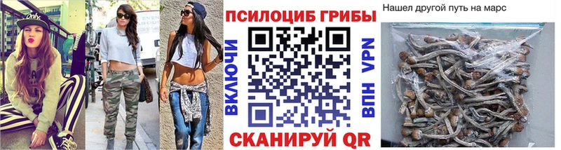 Псилоцибиновые грибы мухоморы  Купить  Гдов 